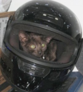 Mika-2638_546800999446_19503729_33334046_2119724_n