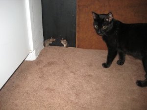 6449_587009735816_19503729_34352447_7692713_n