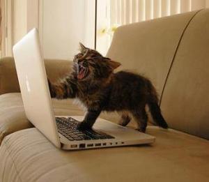 The Internet allows you to collaborate with experts you may not even know.