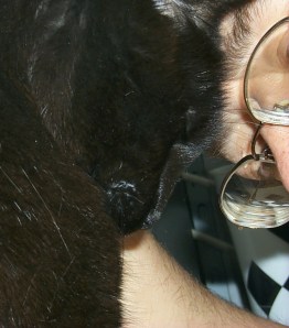 Collaboration is a meeting of minds.