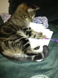 WRITE Morris295222284_n