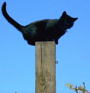 I'm being an outlier