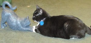 Not expected January 11 2014 B 042