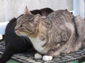 We're an inverse relationship.