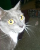 That's not what I expected