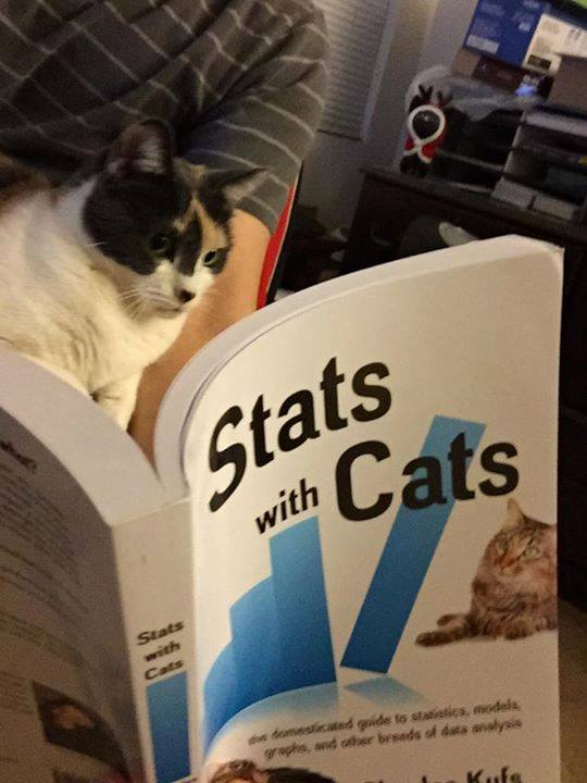 Reading Stats with  Cats