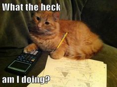 What the heck am I doing?