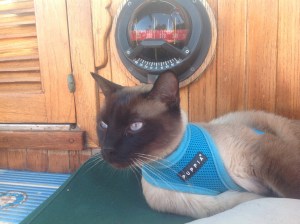 compass-20130531-182857