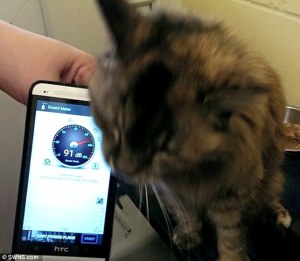 sound-27302bac00000578-3021300-image-a-35_1427885938930