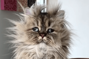 4 monday e8c828e1-7aaa-464d-8398-441da35e3184