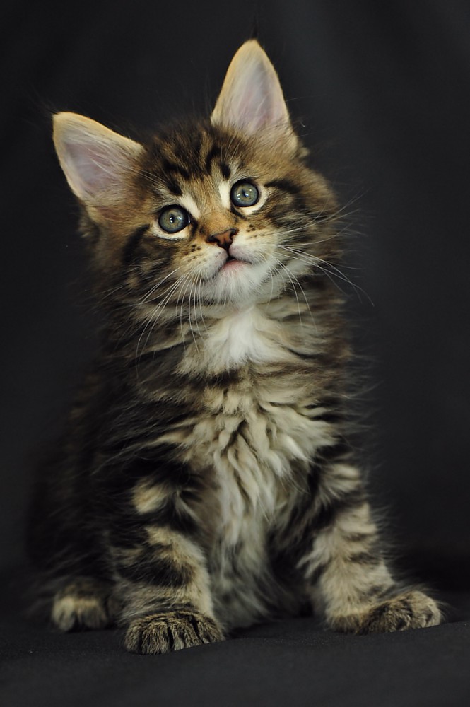 04 - Probably ORACLE