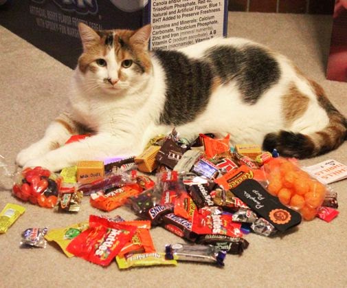 13 - A Probably CANDY B